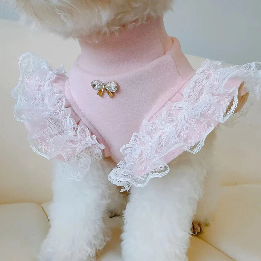 Pet Clothing Autumn and Winter - Lace Teddy Lingerie review and price
