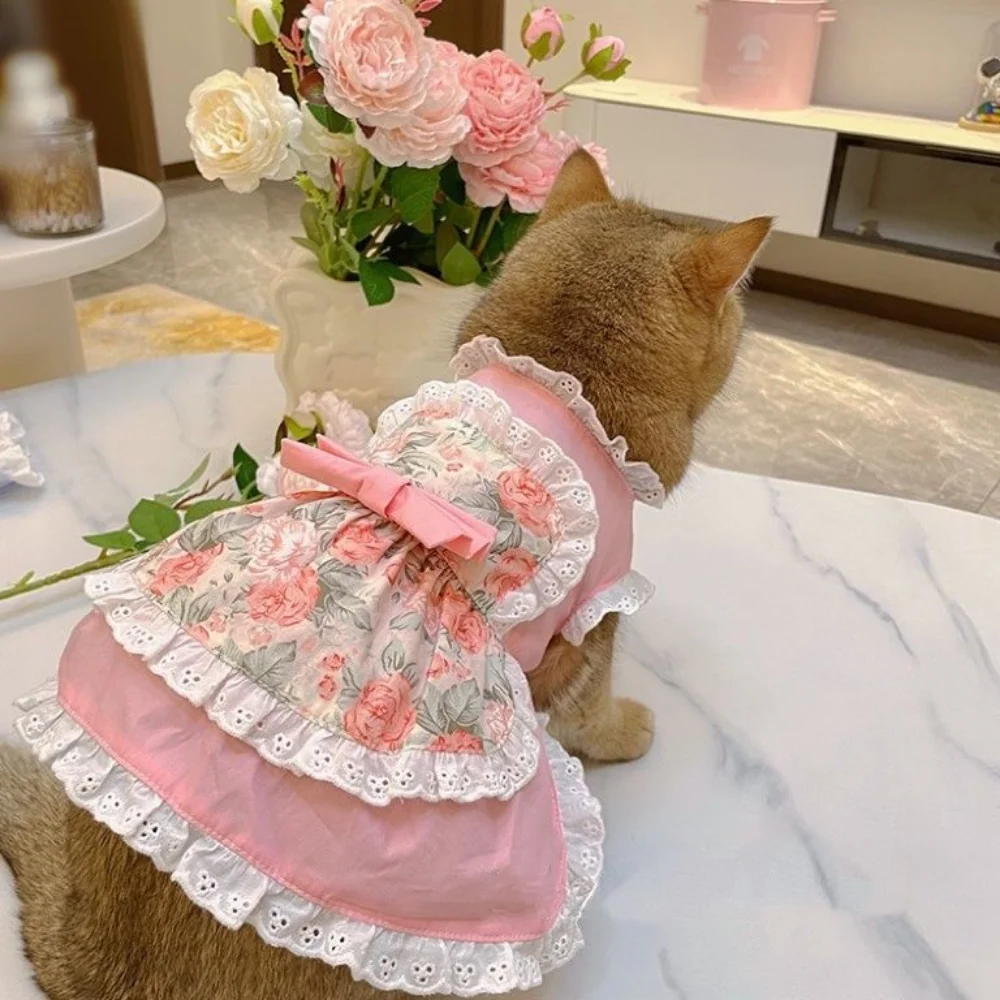Pet Cute Apron Dress Lace Flor - Lace Teddy Lingerie review and price